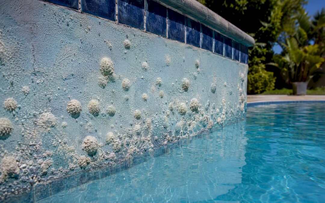 Calcium Nodules in Pool Plaster: What Owners and Pros Need to Know